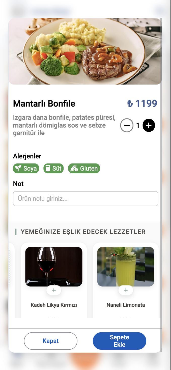 Ürün Detayı ve Yapay Zeka Destekli Öneriler